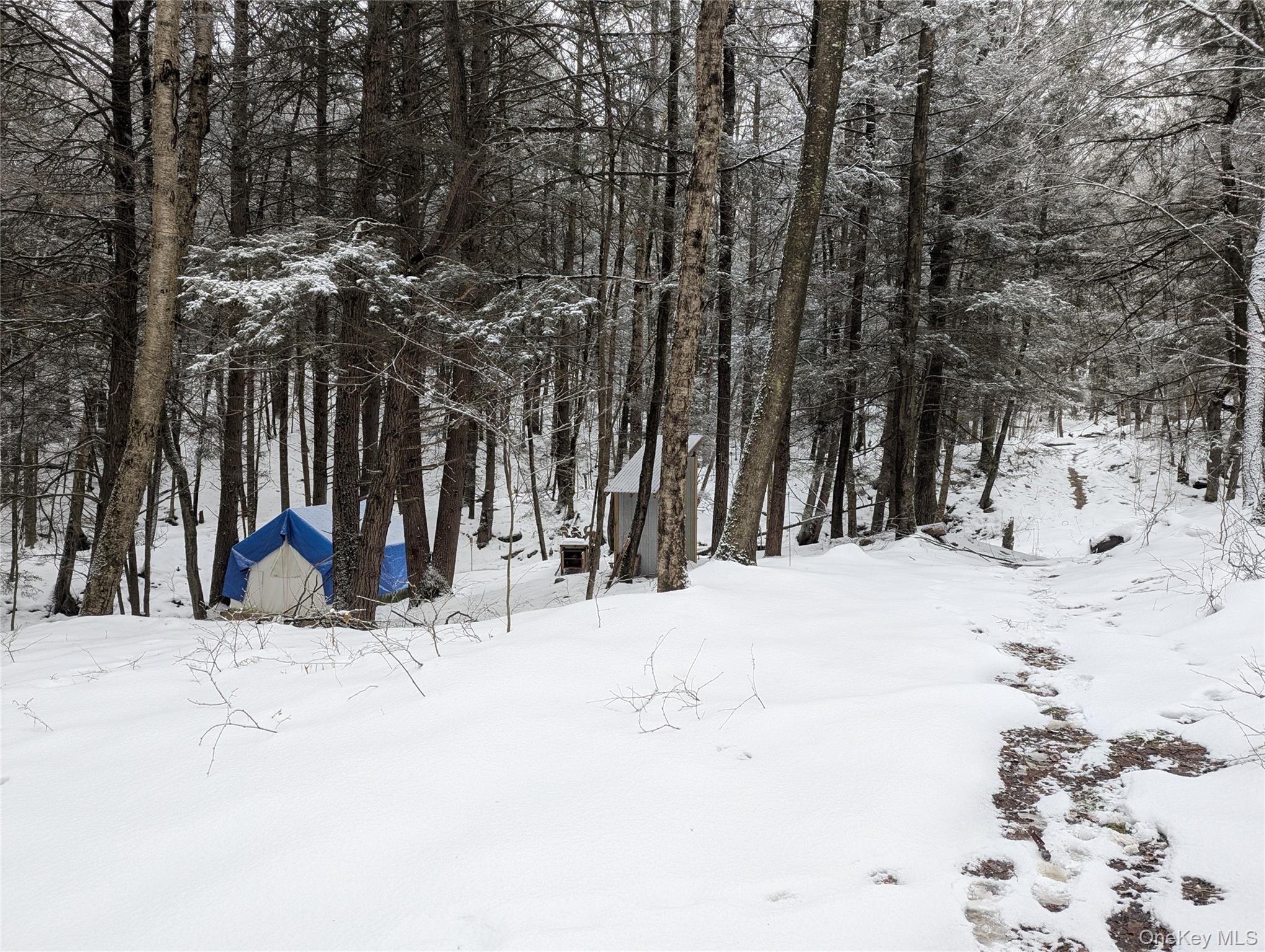 Heinle Road E, Swan Lake, NY 12783