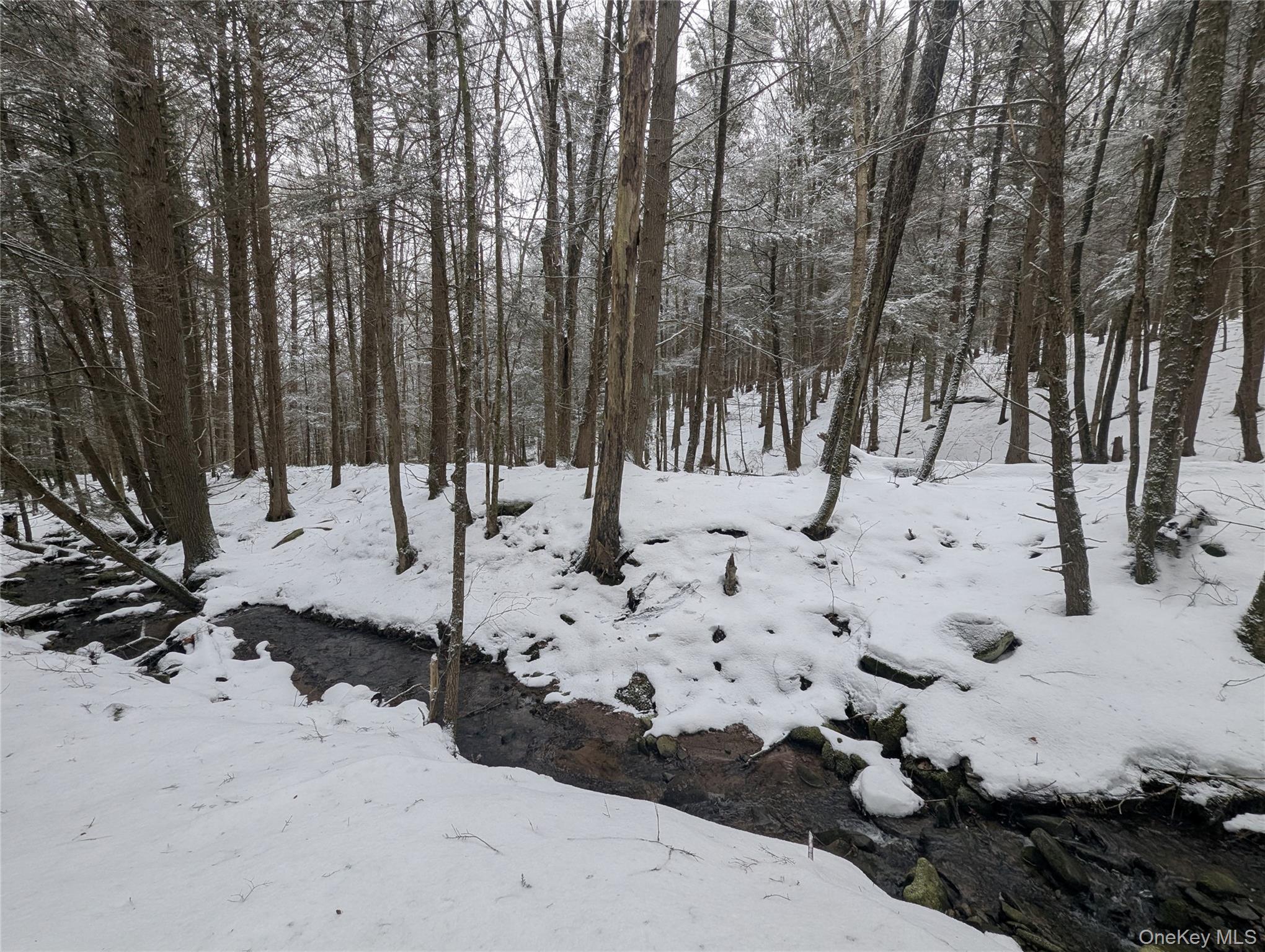 Heinle Road E, Swan Lake, NY 12783