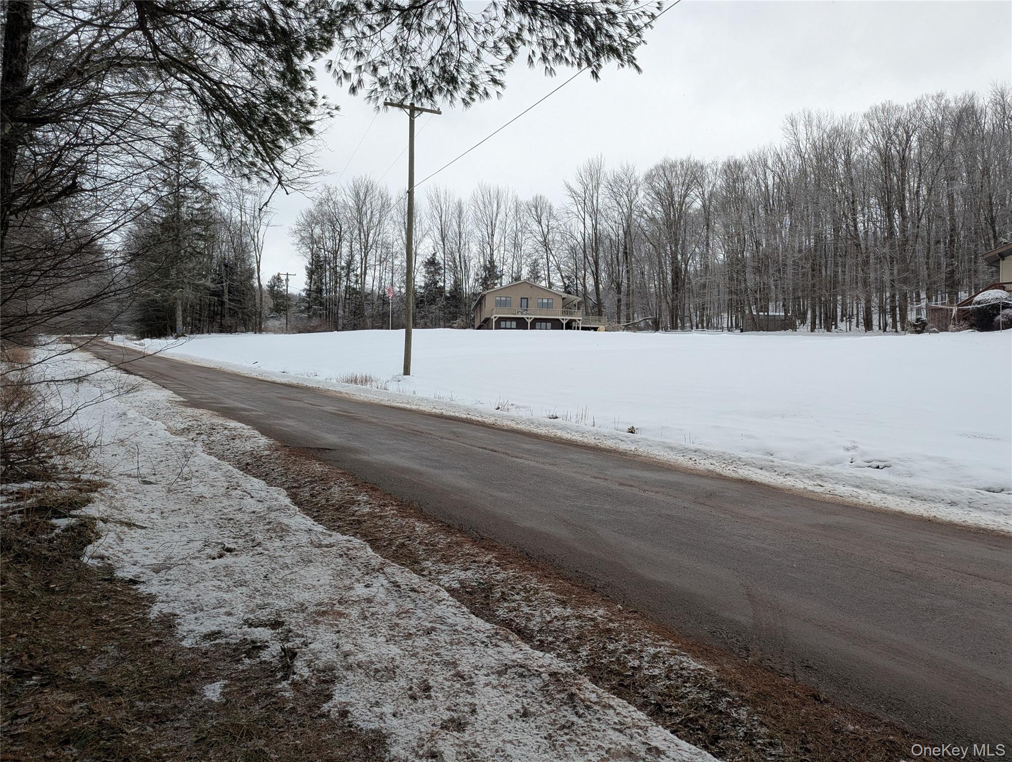 Heinle Road E, Swan Lake, NY 12783