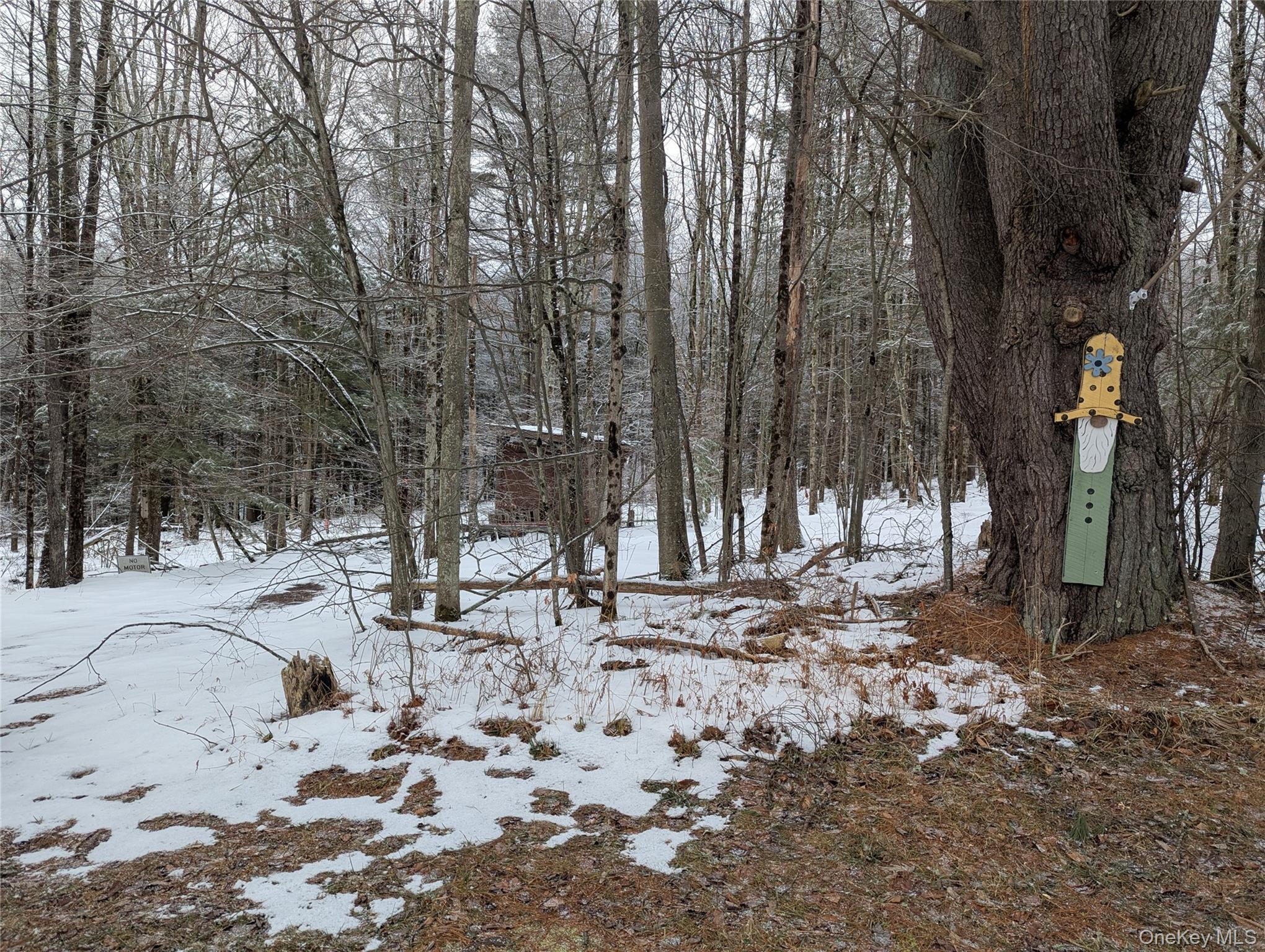 Heinle Road E, Swan Lake, NY 12783