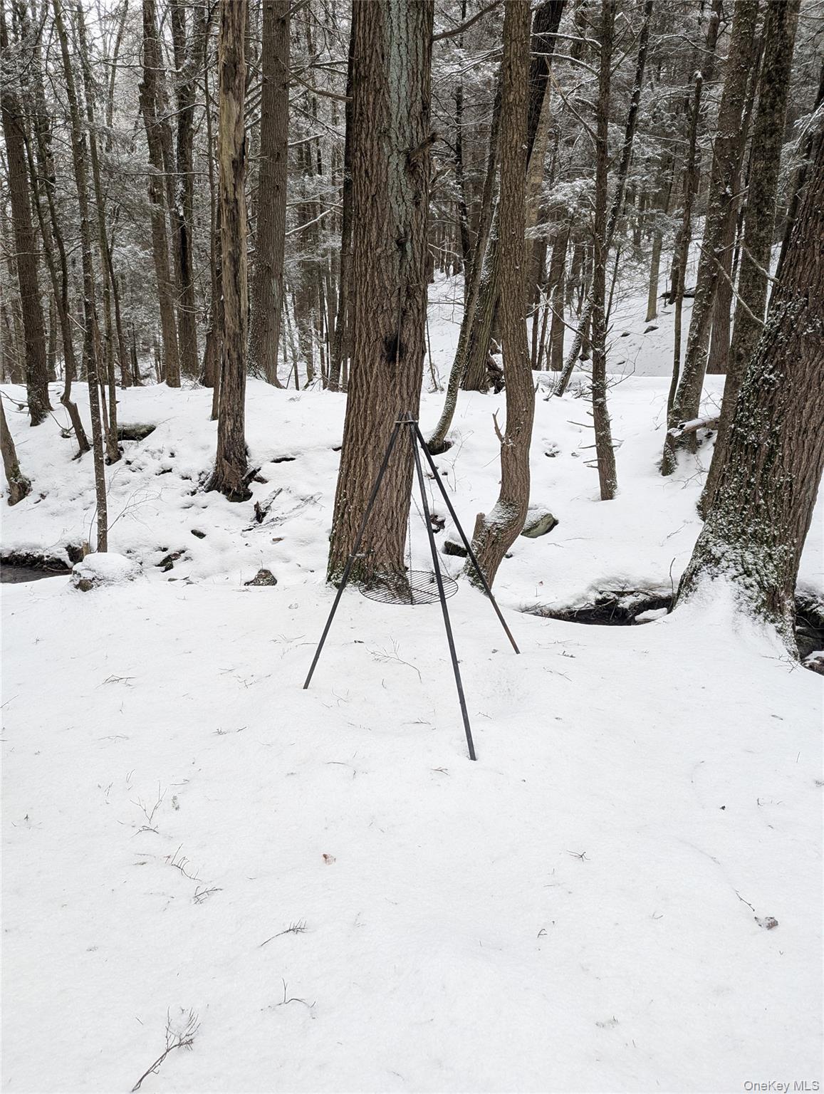 Heinle Road E, Swan Lake, NY 12783