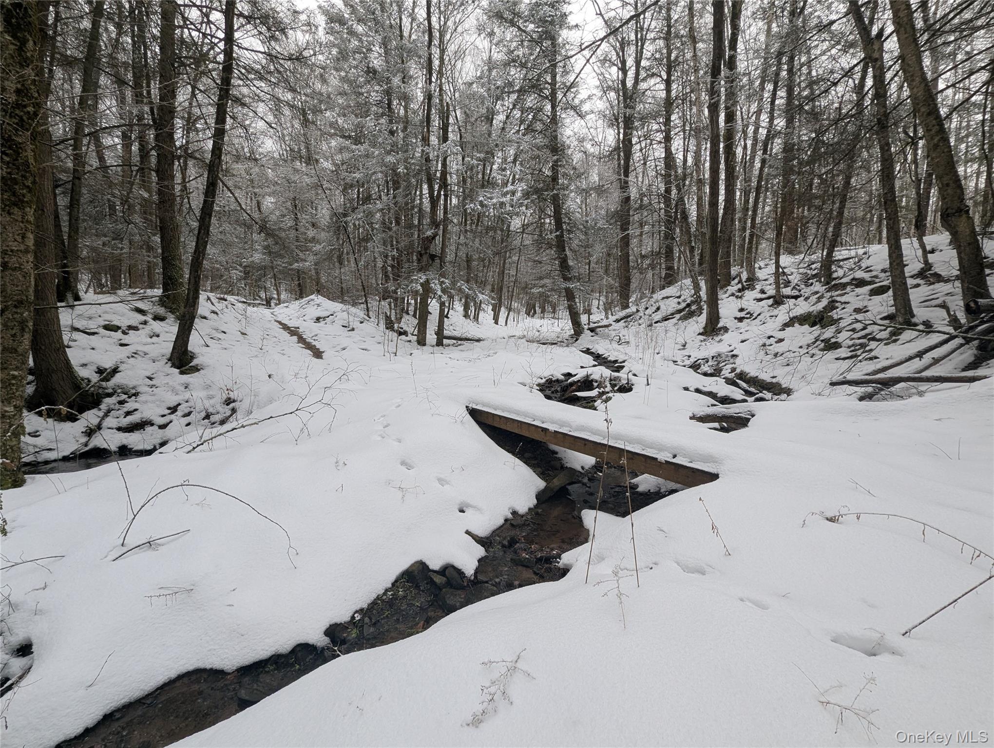 Heinle Road E, Swan Lake, NY 12783