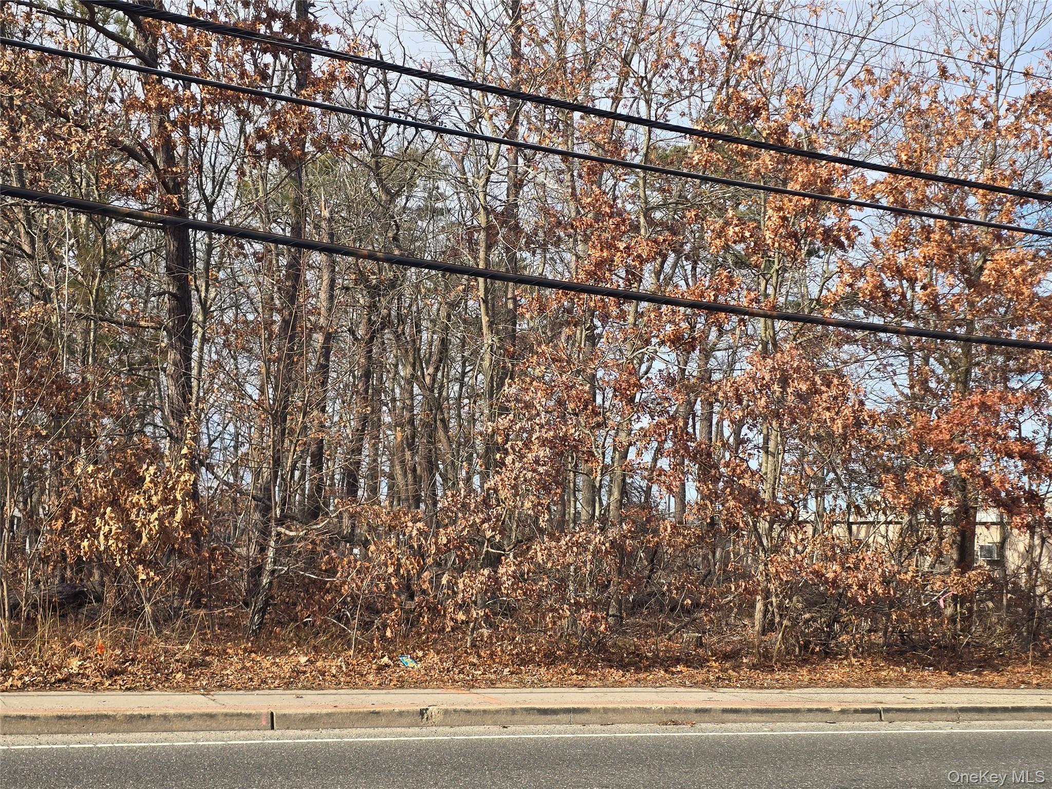 Vacant Land Mastic Road, Shirley, NY 11967