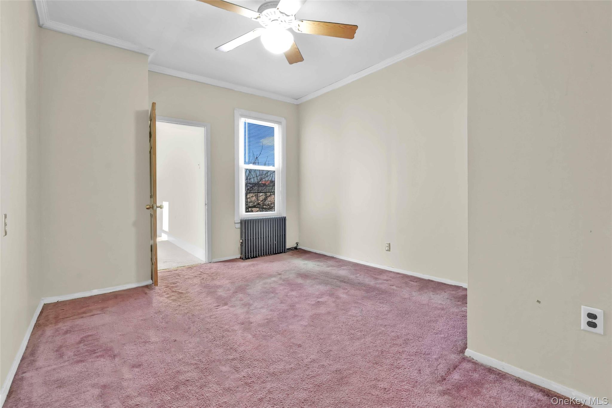 194 Crystal Street, Brooklyn, NY 11208