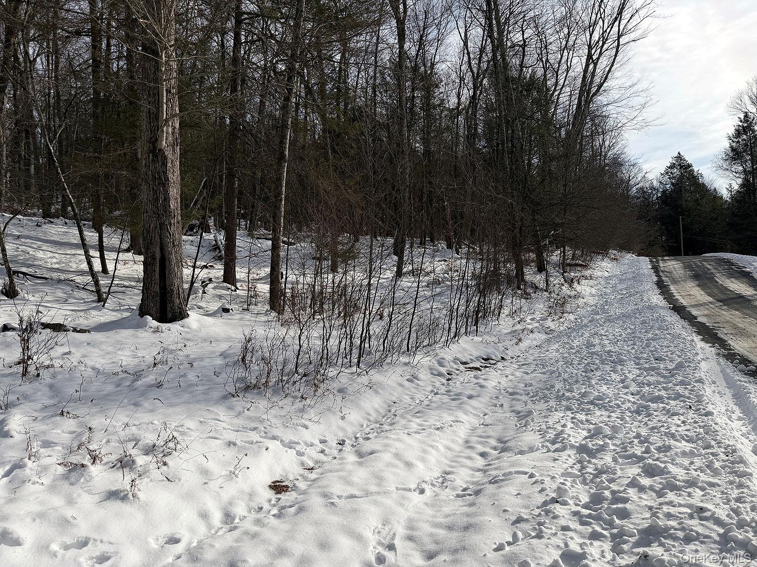 Lot 29 Kenoza Trail, Callicoon, NY 12723