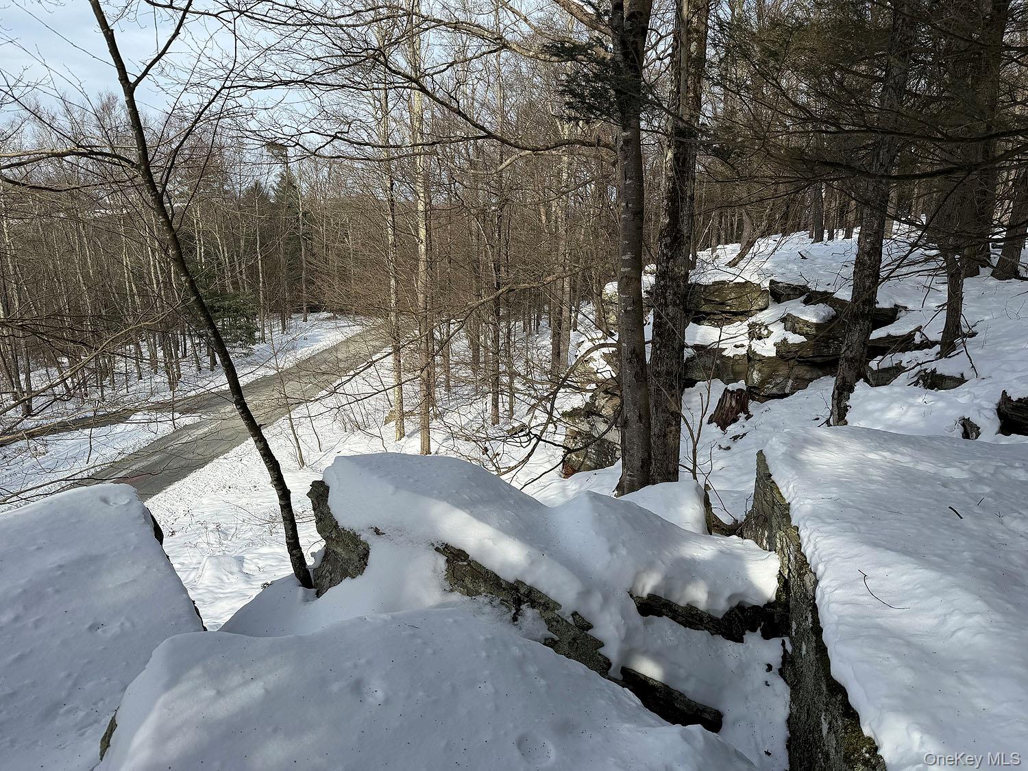 Lot 29 Kenoza Trail, Callicoon, NY 12723