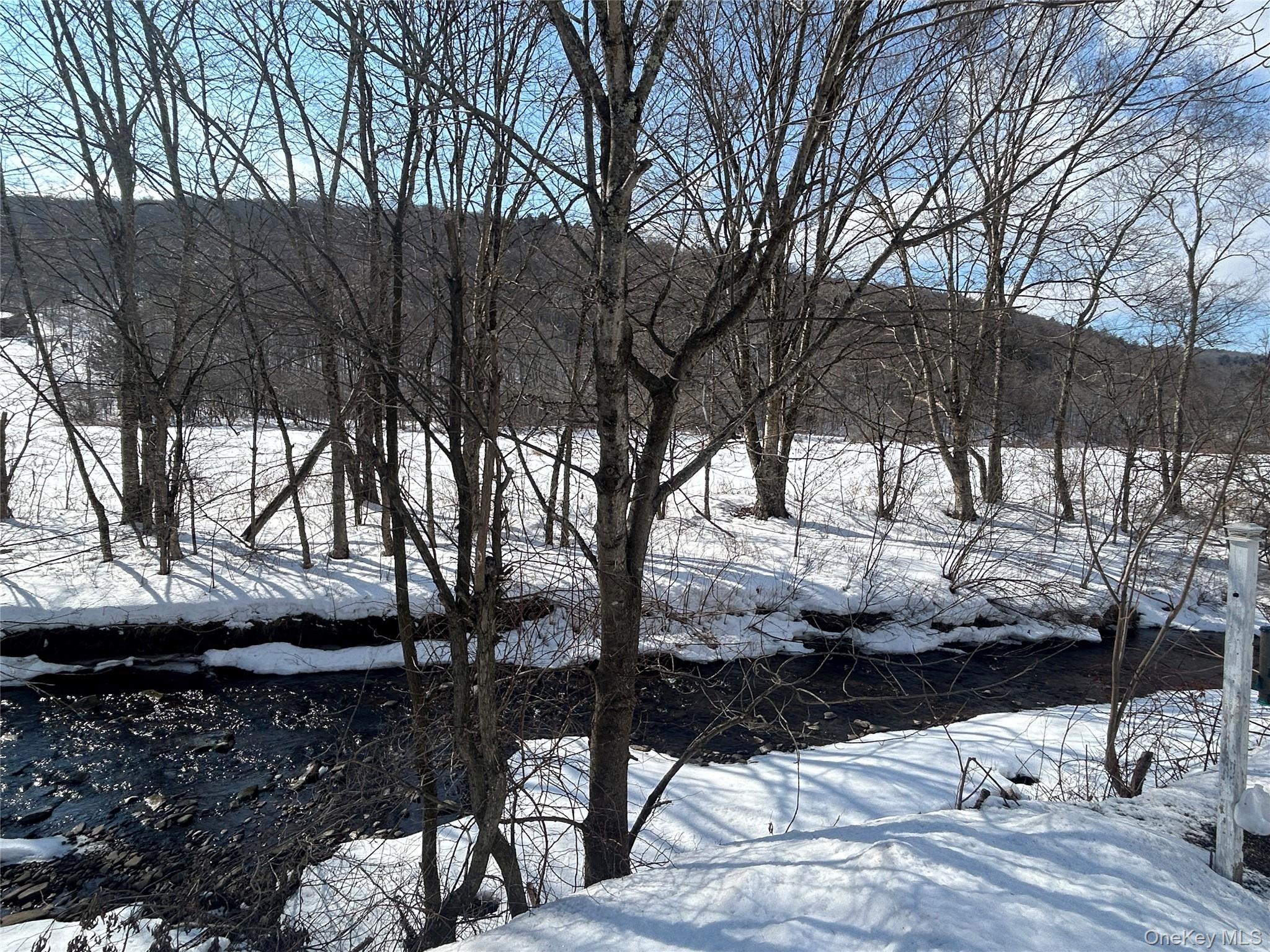 290 Gulf Road, Roscoe, NY 12776