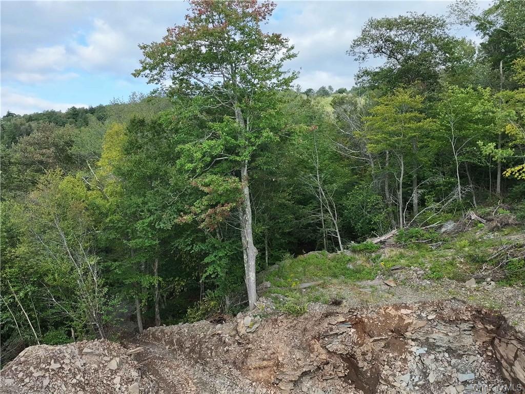 Huntley Hollow Road, Colchester, NY 13752