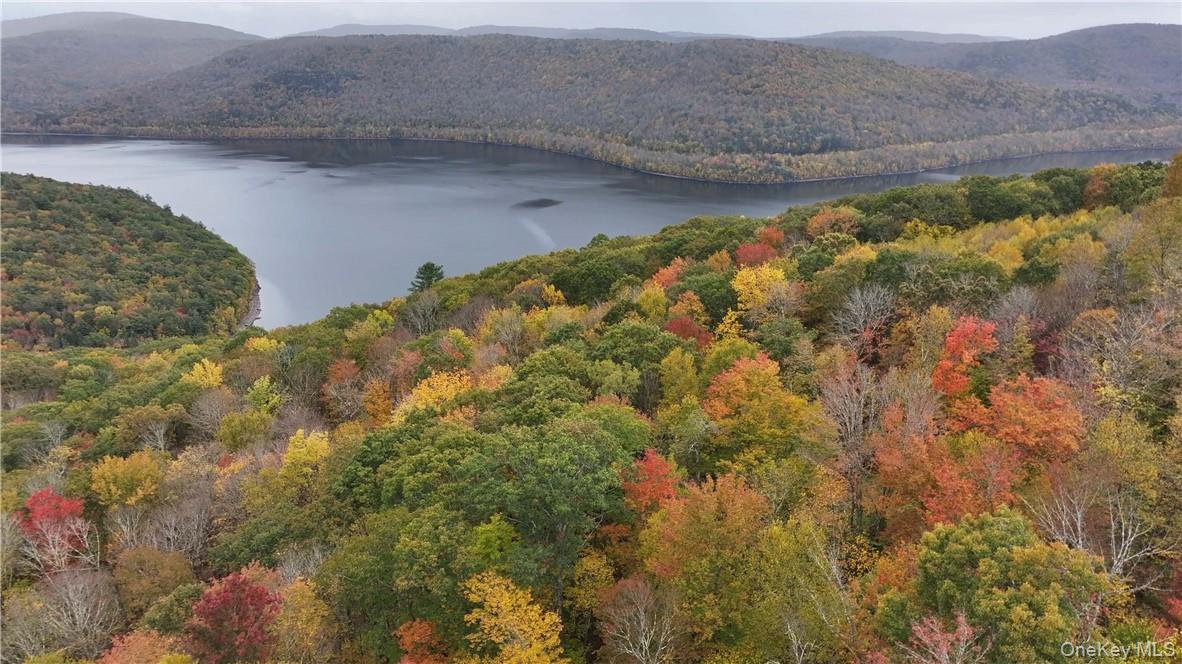 Huntley Hollow Road, Colchester, NY 13752