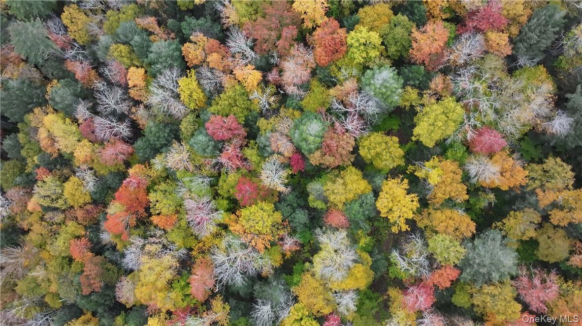 Huntley Hollow Road, Colchester, NY 13752