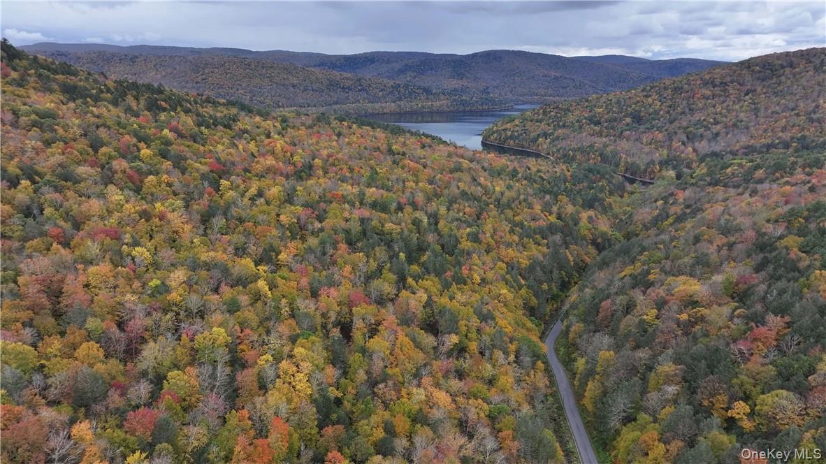 Huntley Hollow Road, Colchester, NY 13752