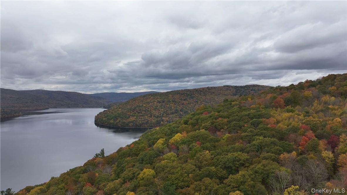 Huntley Hollow Road, Colchester, NY 13752