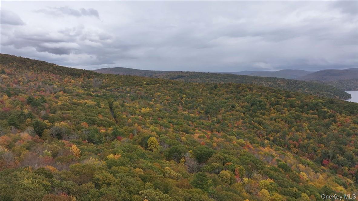 Huntley Hollow Road, Colchester, NY 13752