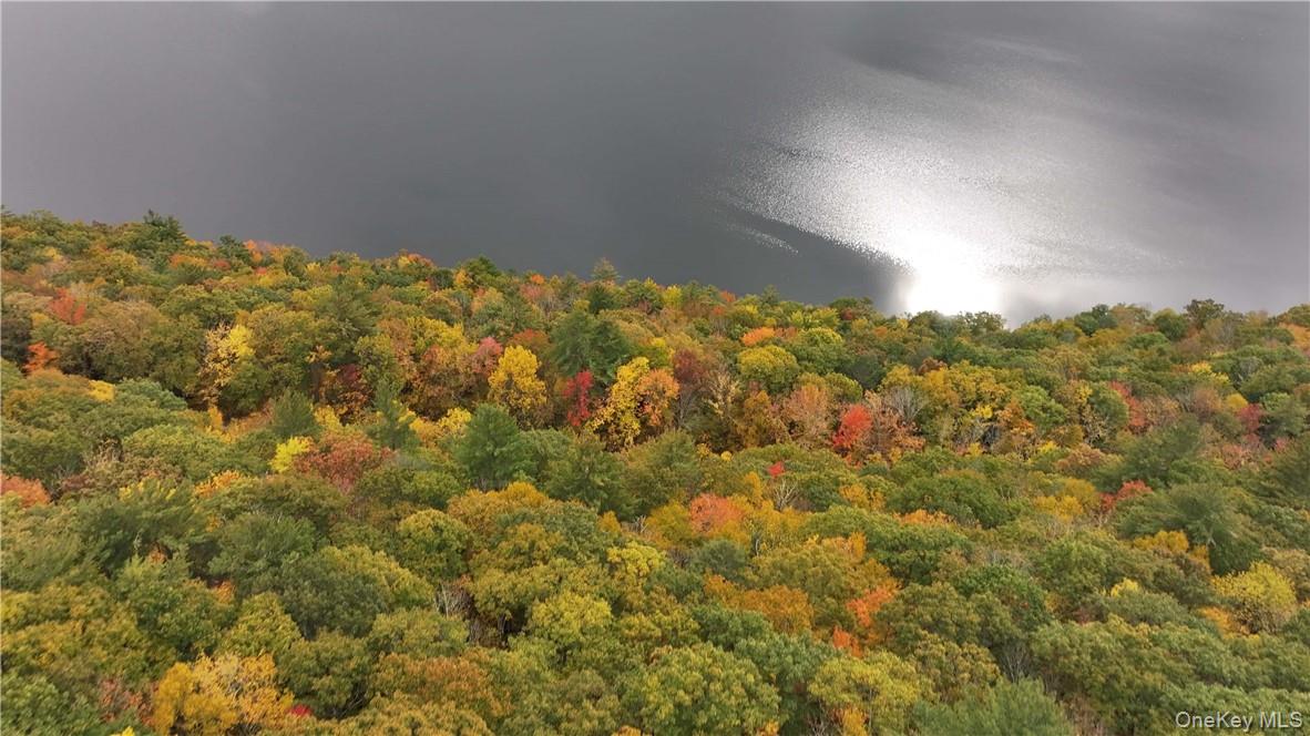 Huntley Hollow Road, Colchester, NY 13752