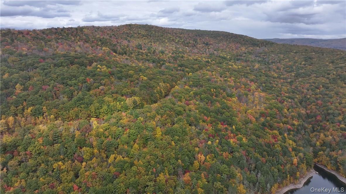 Huntley Hollow Road, Colchester, NY 13752