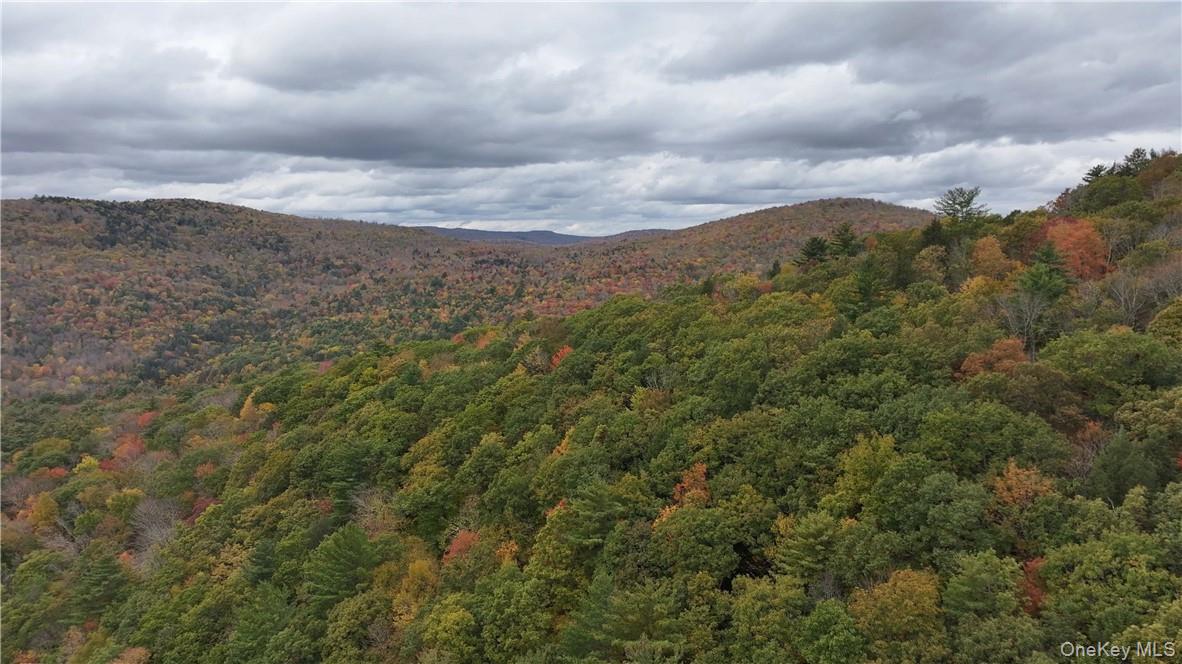 Huntley Hollow Road, Colchester, NY 13752