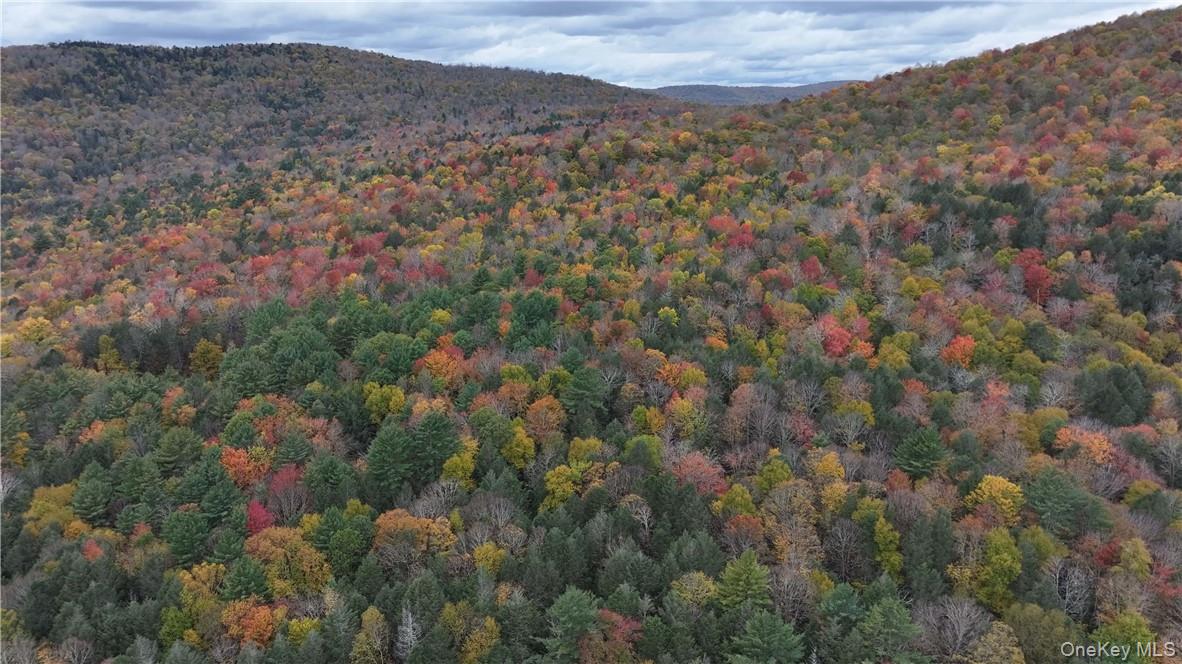 Huntley Hollow Road, Colchester, NY 13752