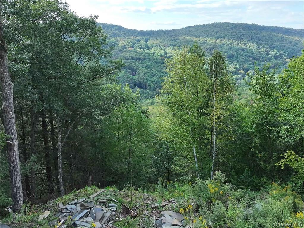 Huntley Hollow Road, Colchester, NY 13752