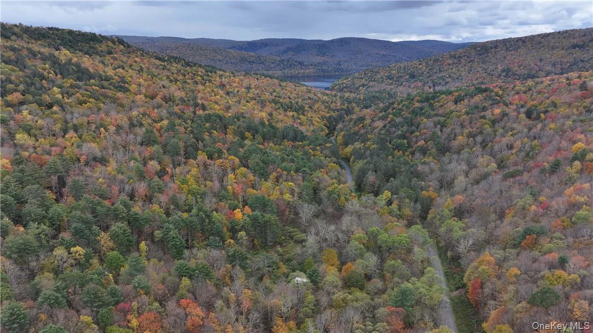 Huntley Hollow Road, Colchester, NY 13752