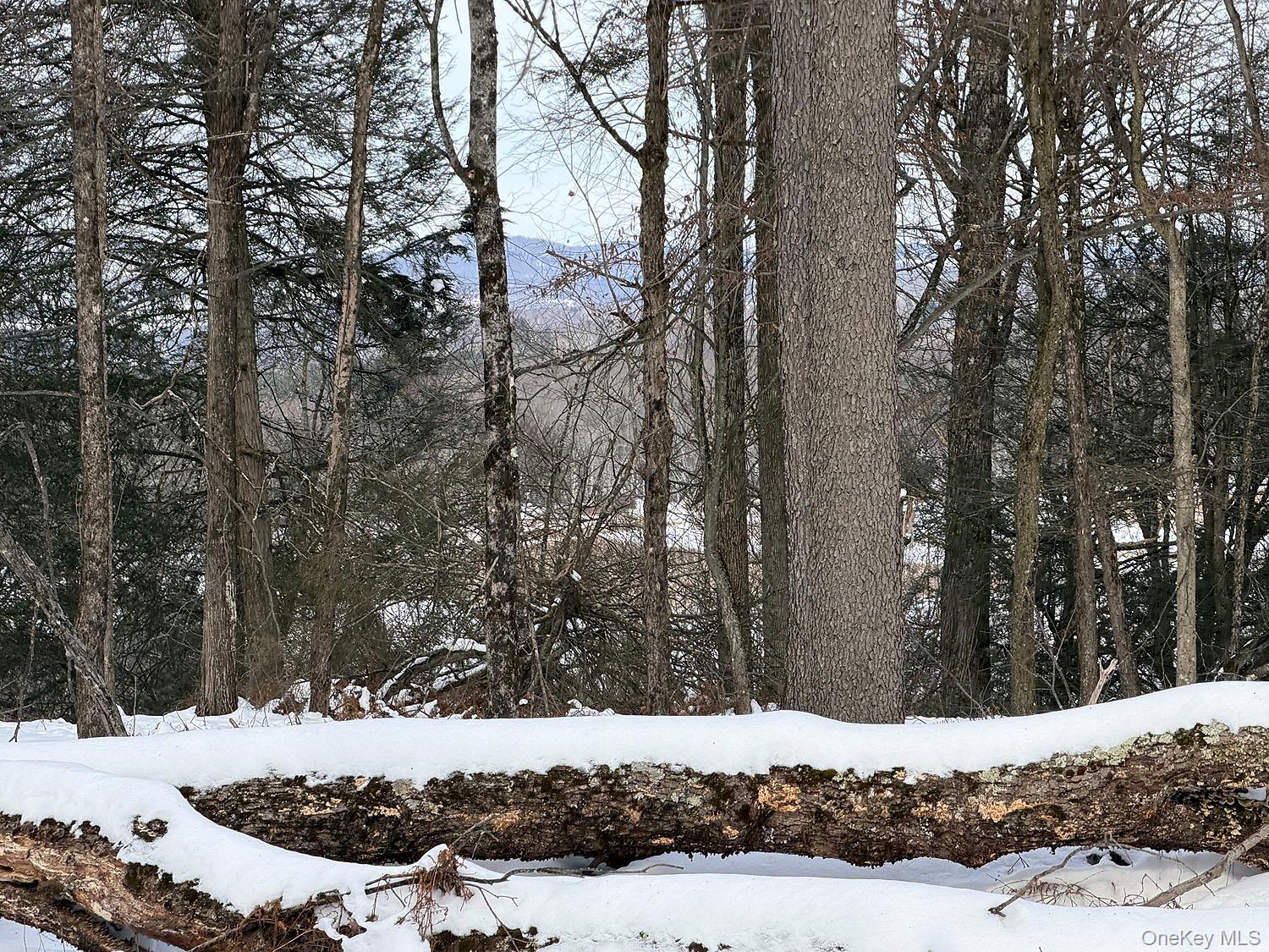 Lot 30 Kenoza Trail, Callicoon, NY 12723