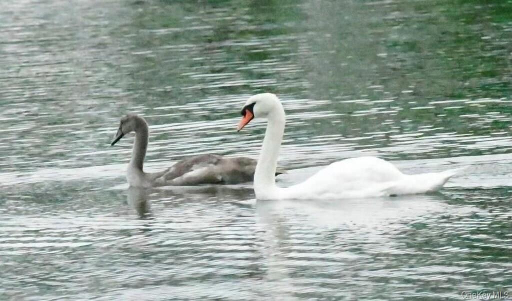 42 Towd Point Road, Southampton, NY 11968