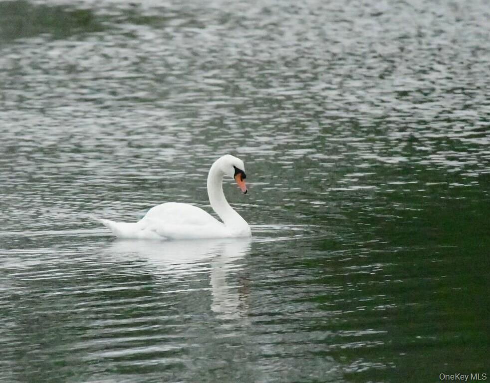 42 Towd Point Road, Southampton, NY 11968