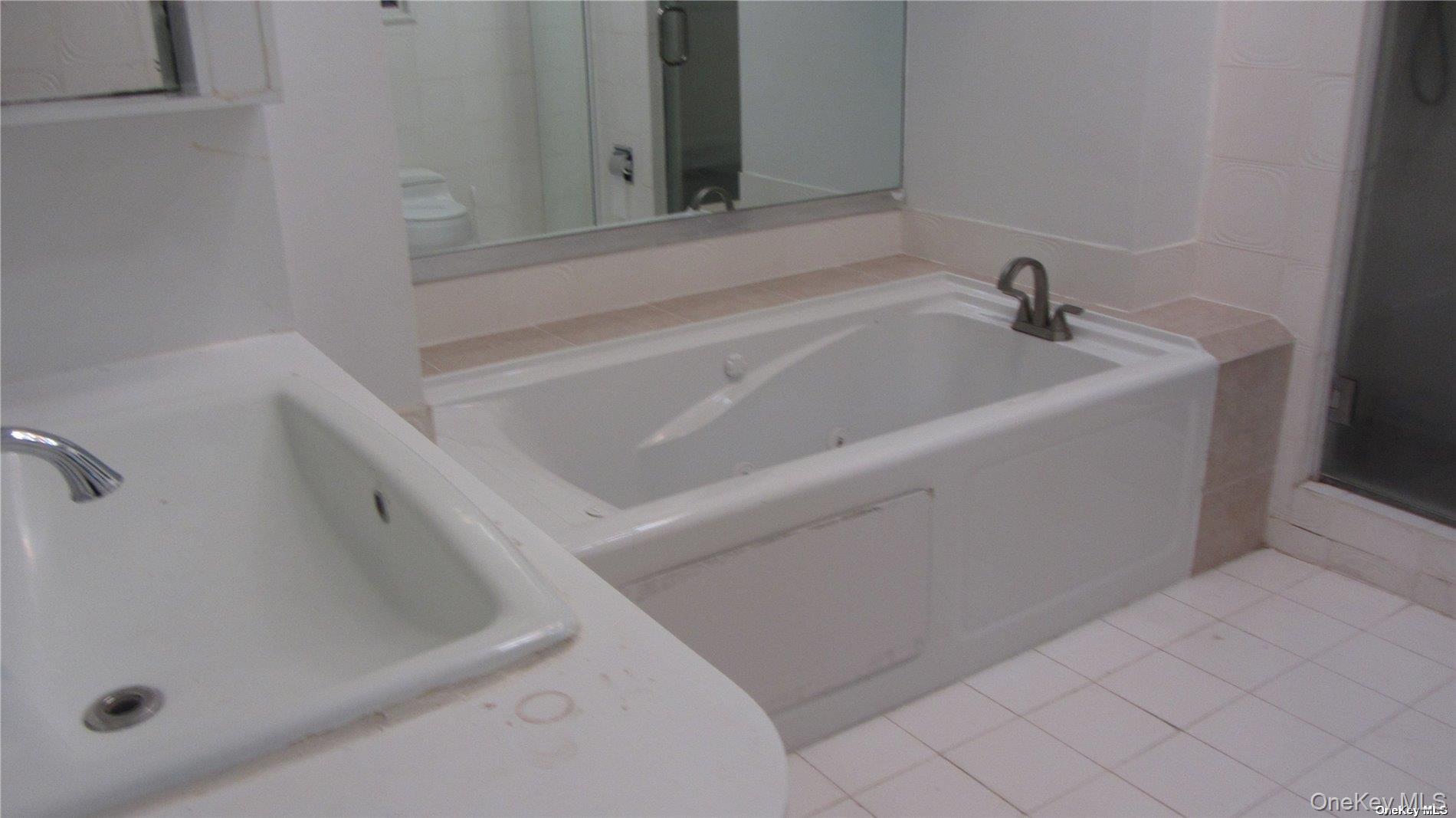 100 Hicks Lane, Great Neck, NY 11024