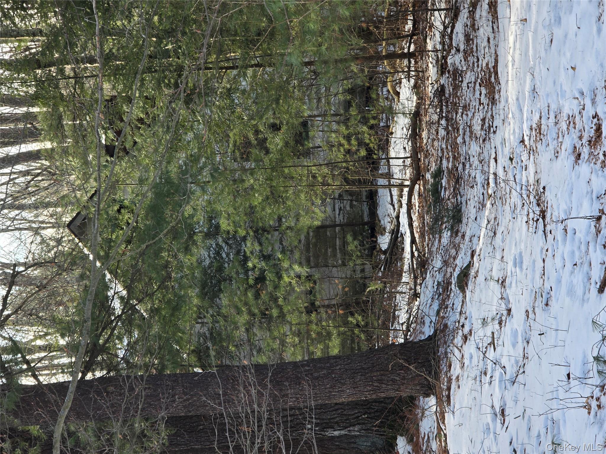 83 Hillside Avenue, Monticello, NY 12701