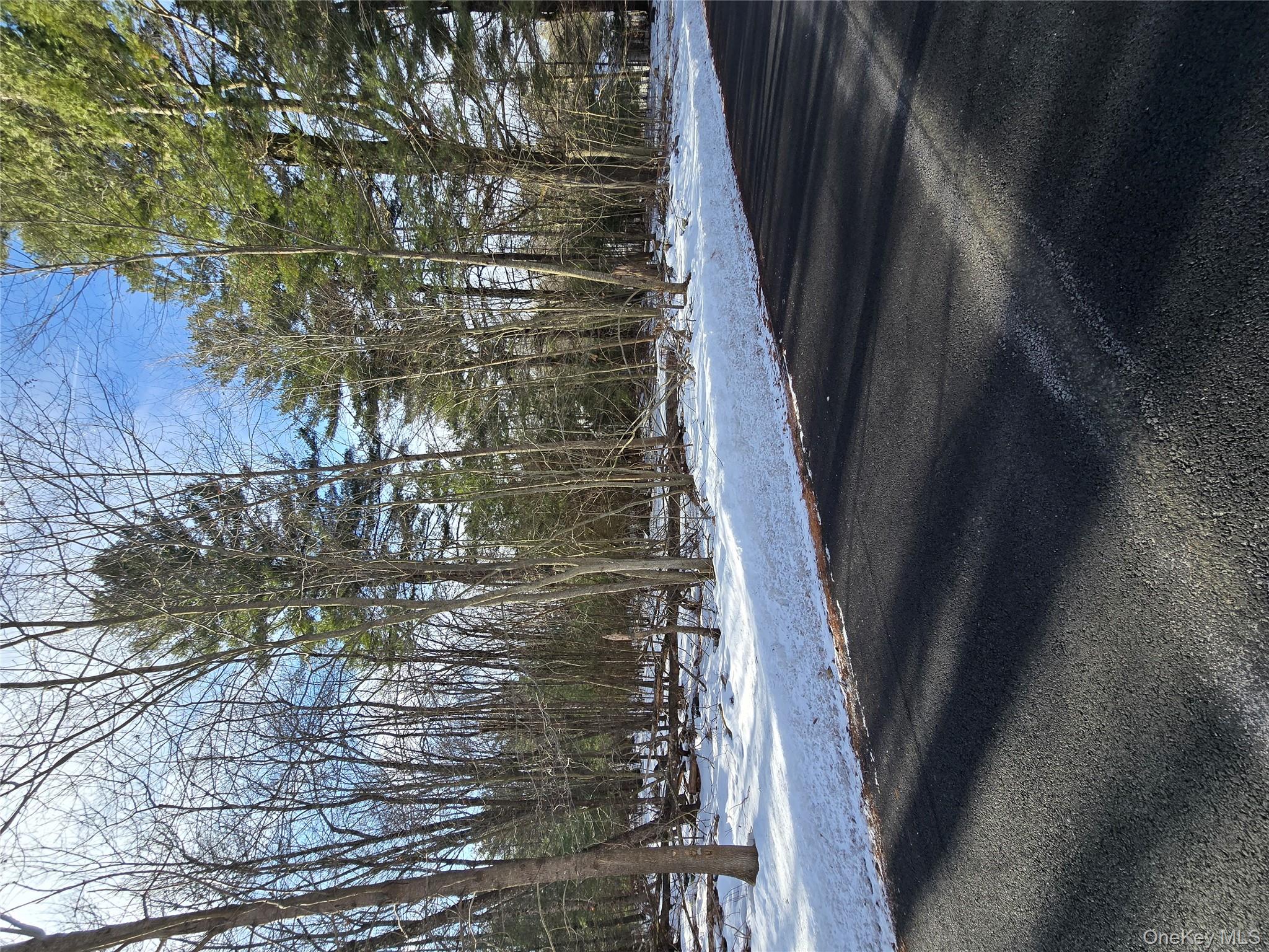 83 Hillside Avenue, Monticello, NY 12701