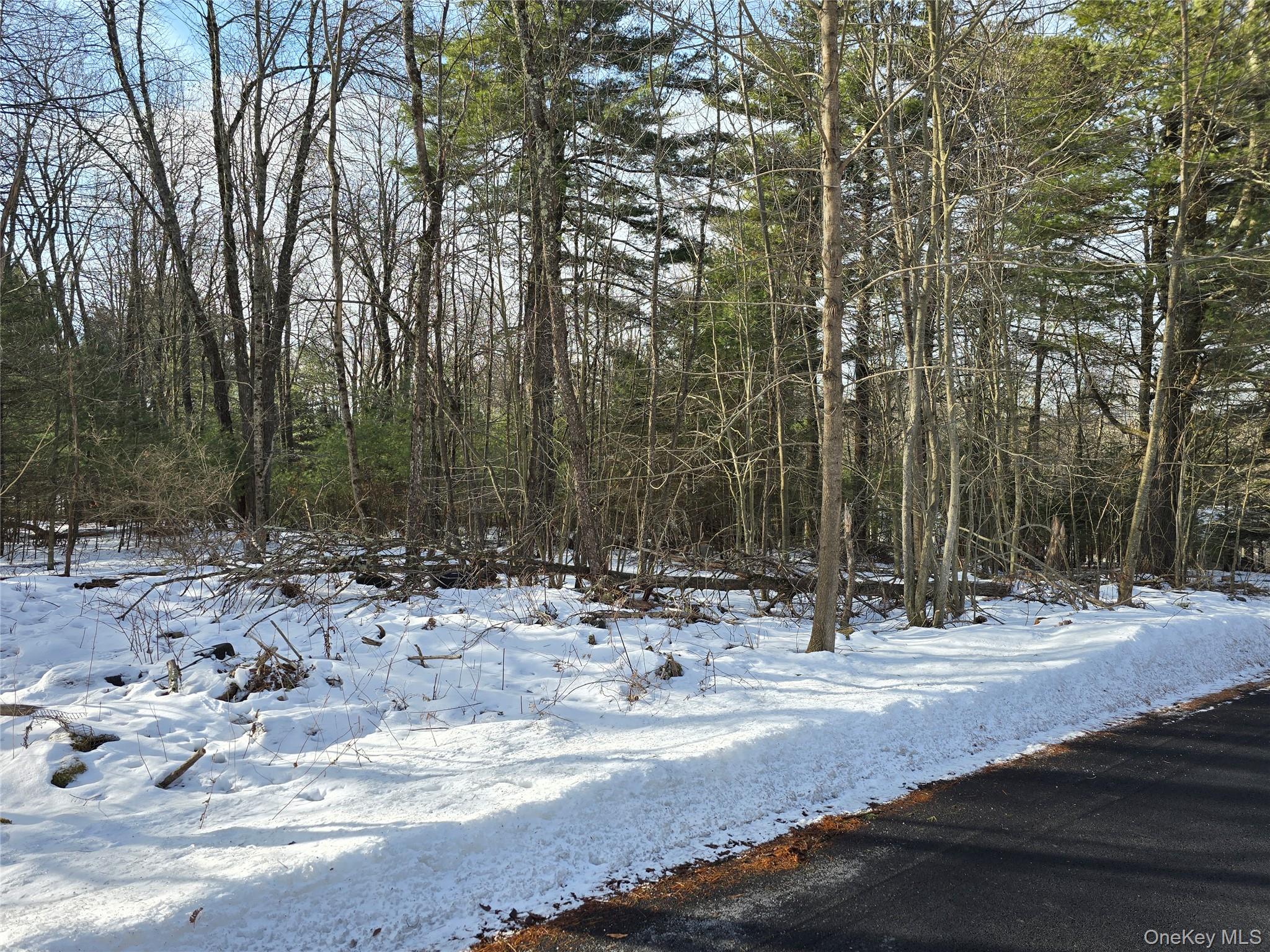 83 Hillside Avenue, Monticello, NY 12701