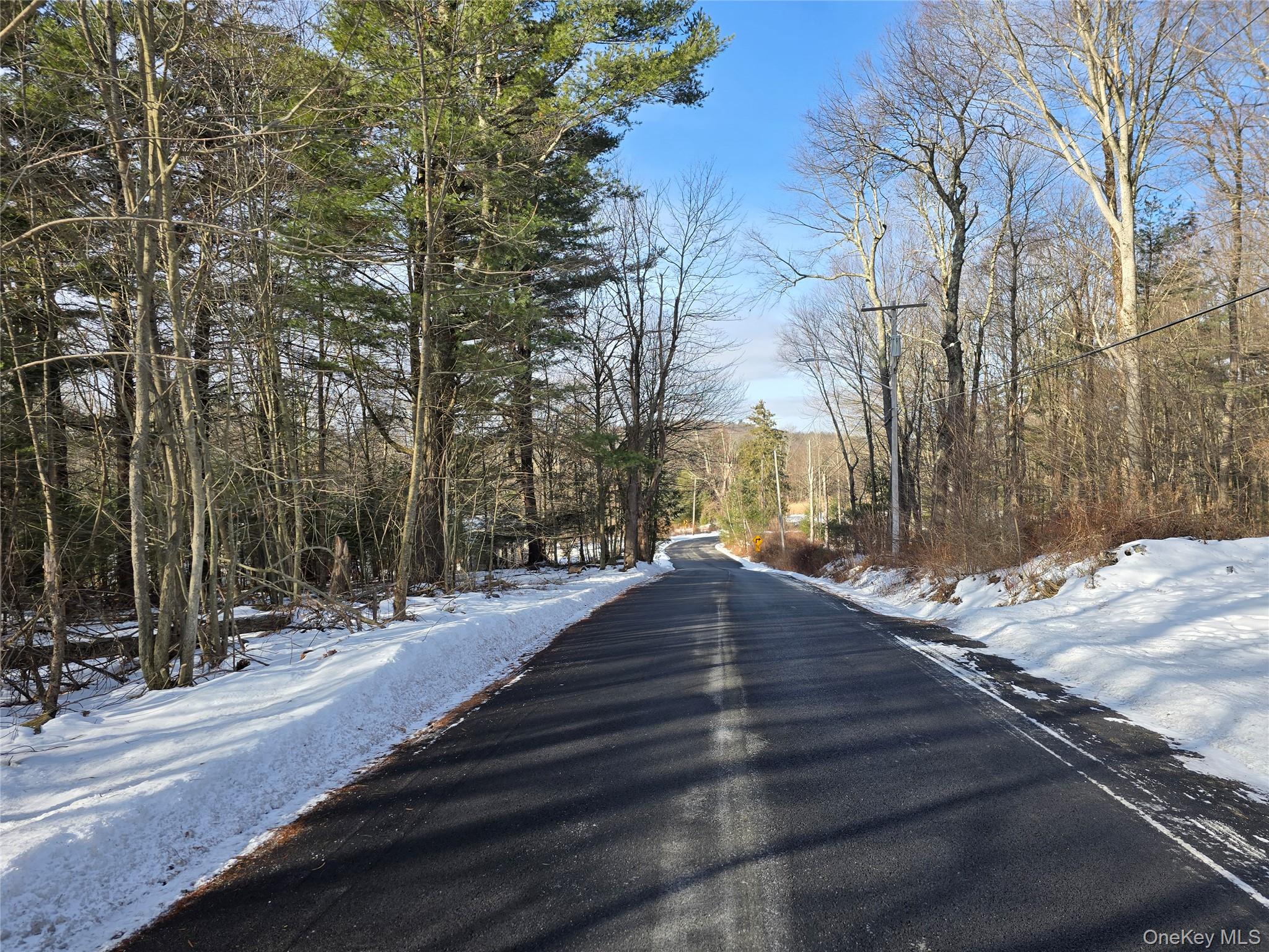 83 Hillside Avenue, Monticello, NY 12701