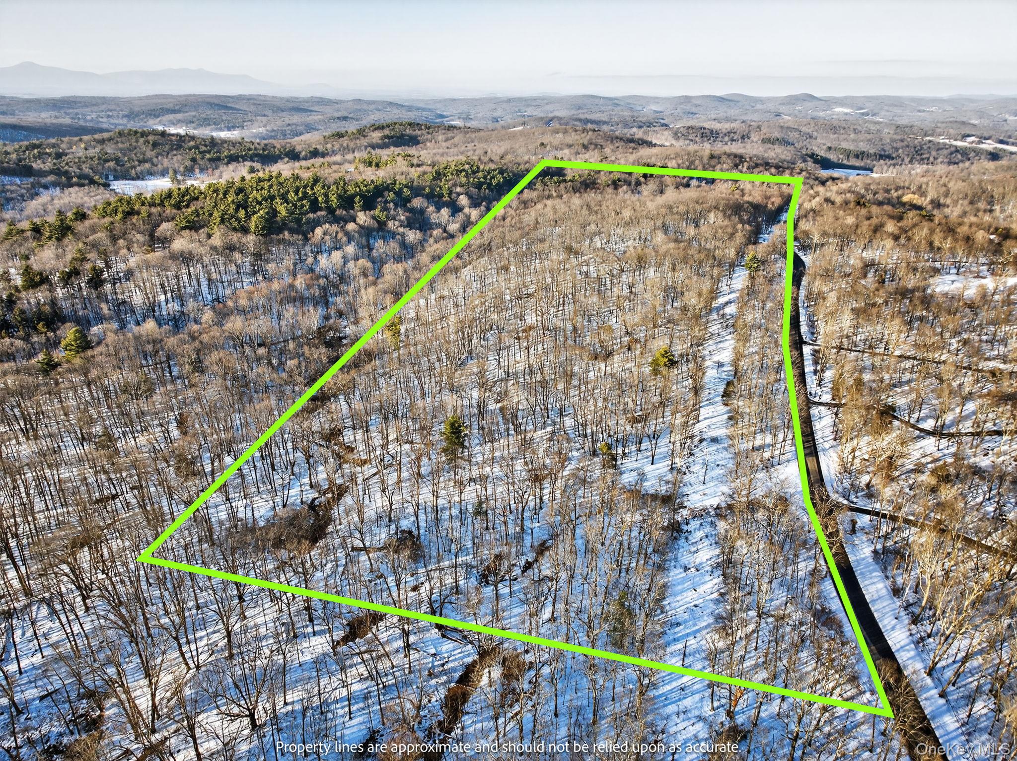 TBD Hicks Hill Road, Pine Plains, NY 12401