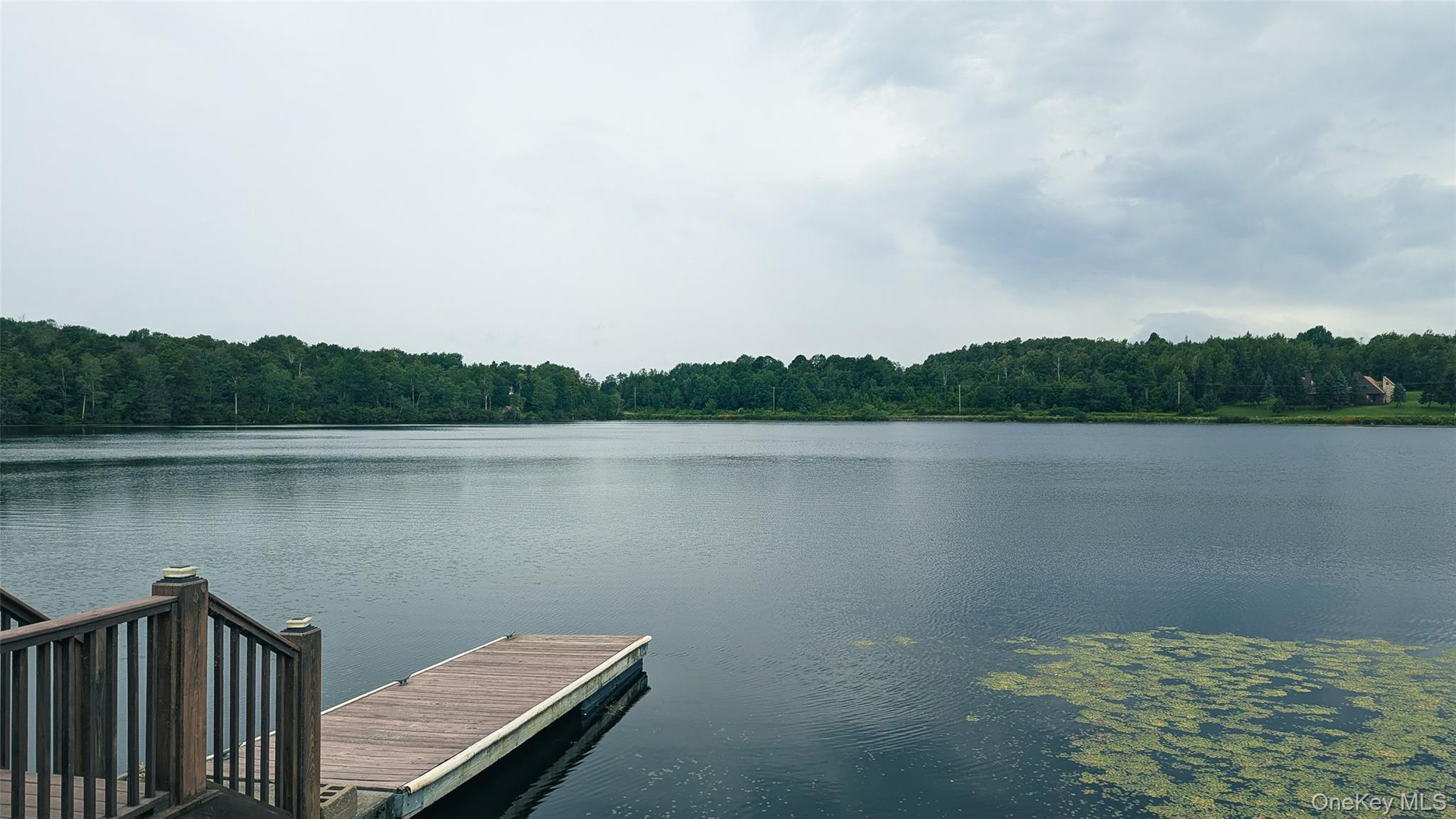 LOT 9 Wood Lake Trail, Roscoe, NY 12736