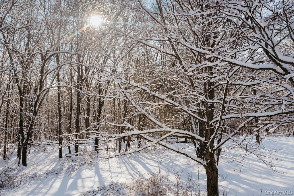 1271 State Route 208, Wallkill, NY 12589