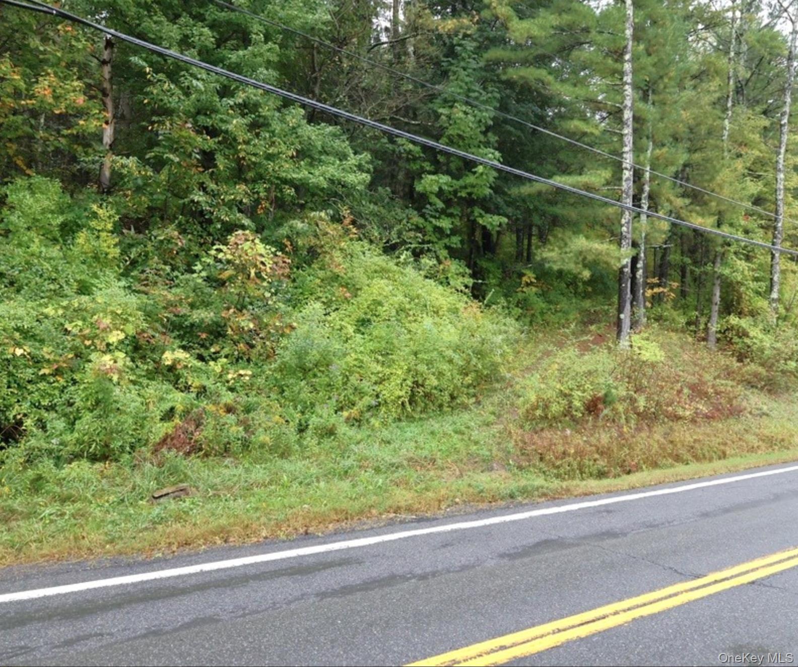 6067 Route 81, Greenville, NY 12083