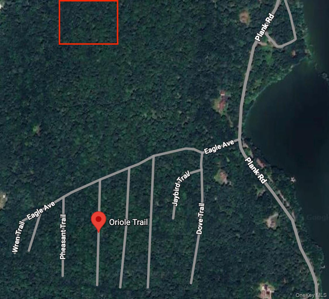 Oriole Trail, Bethel, NY 12720