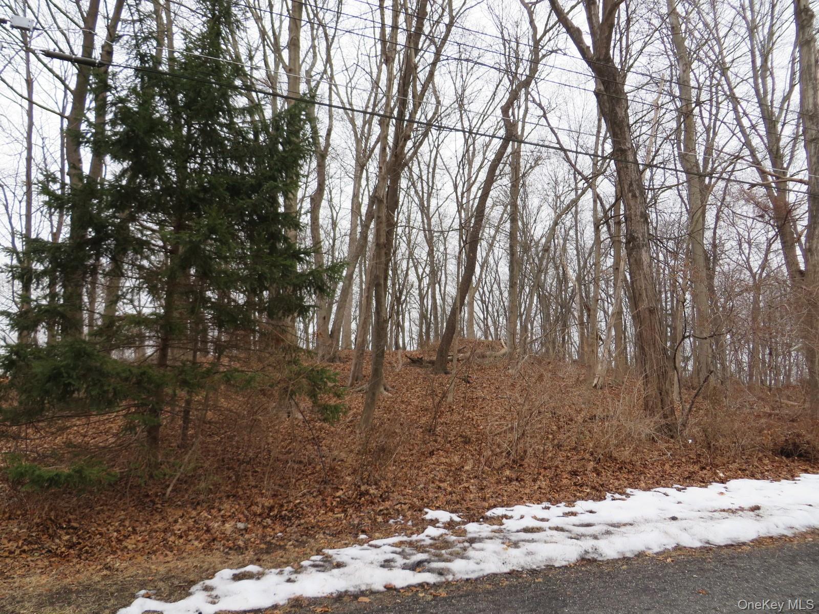 33 Hubbard Drive, Brewster, NY 10509