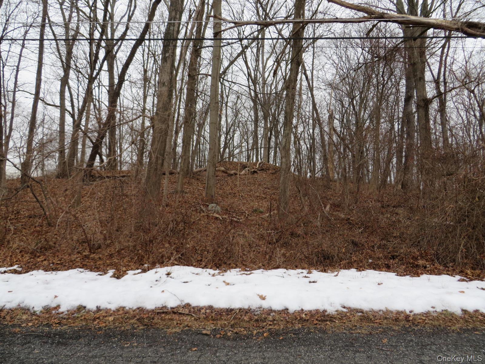 33 Hubbard Drive, Brewster, NY 10509