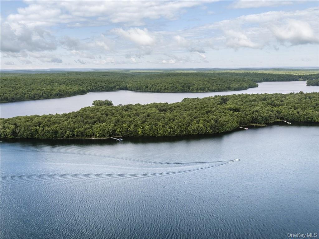 Lot 4 Chapin Trail, Bethel, NY 12720