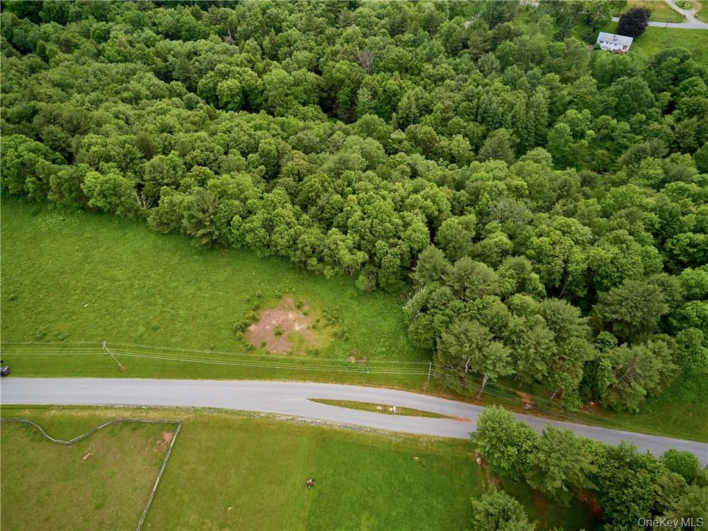 Lot 4 Chapin Trail, Bethel, NY 12720