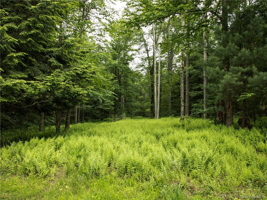Lot 4 Chapin Trail, Bethel, NY 12720