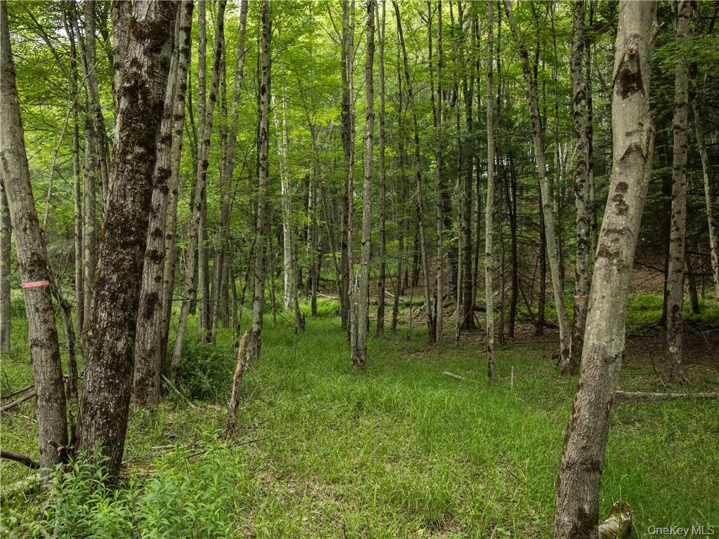 Lot 4 Chapin Trail, Bethel, NY 12720