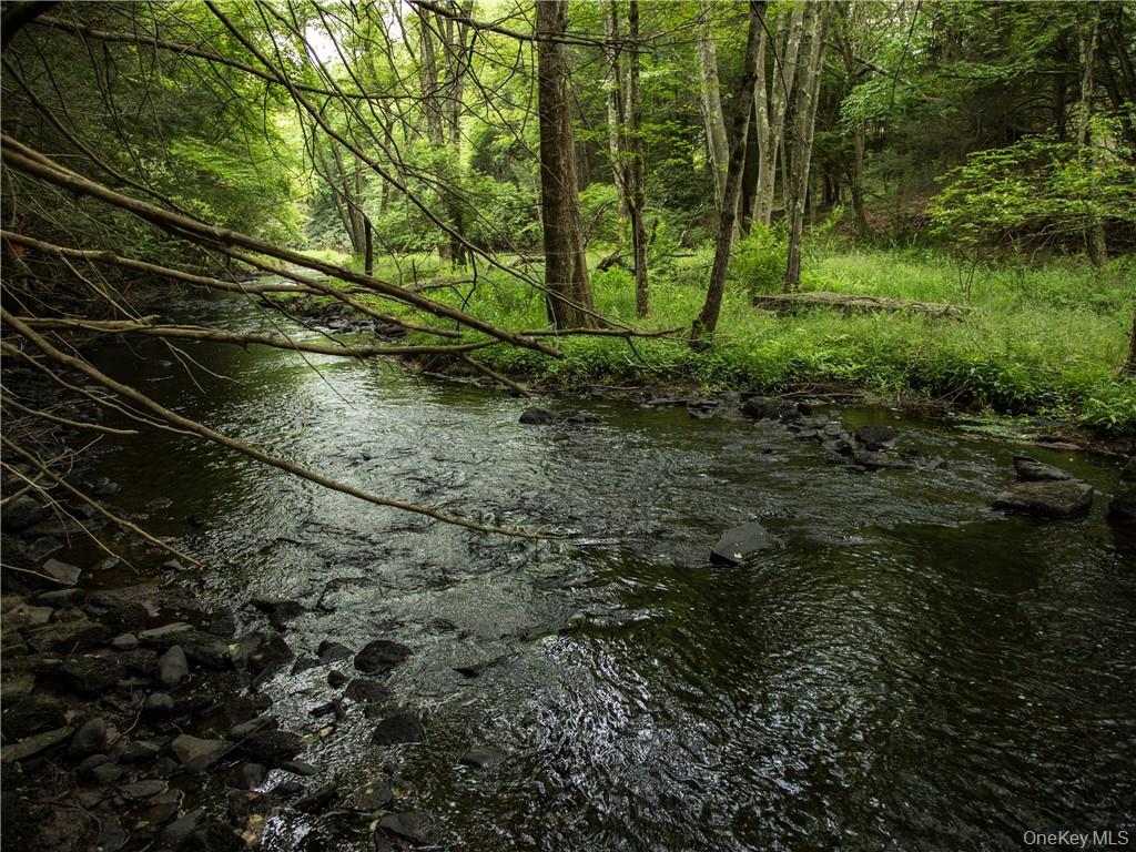 Lot 4 Chapin Trail, Bethel, NY 12720