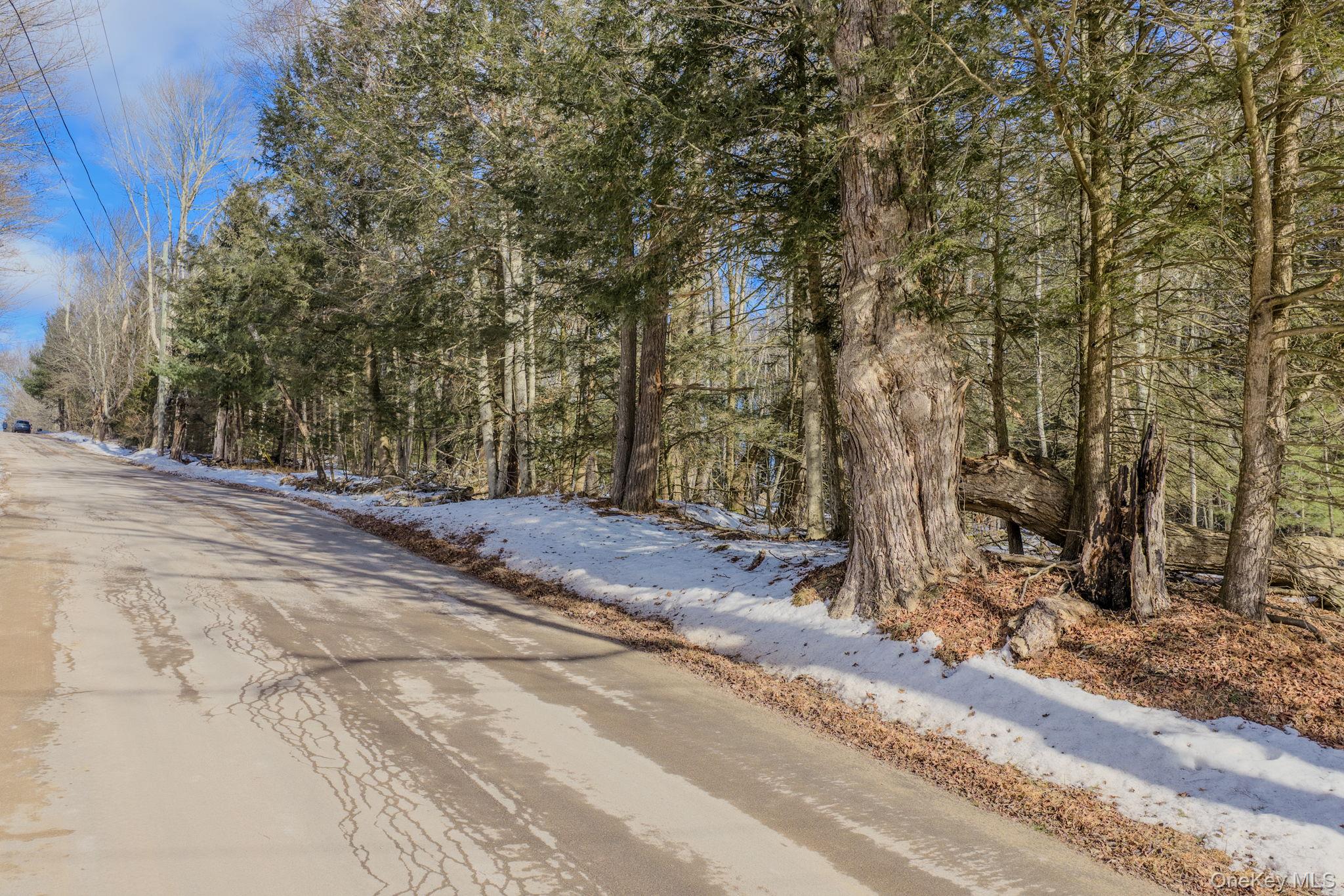 Soule Road, Bethel, NY 12720