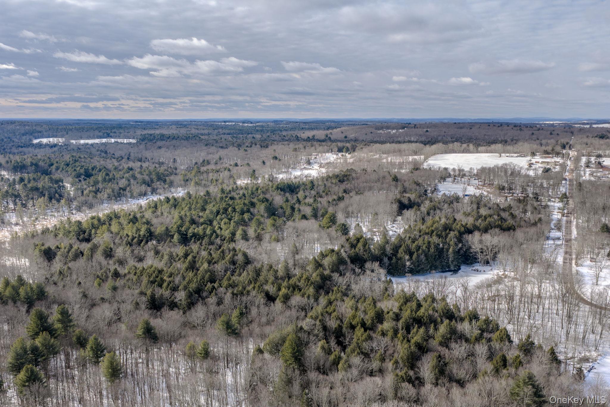 Soule Road, Bethel, NY 12720