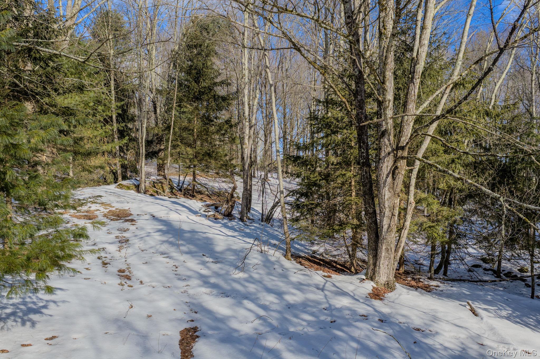 Soule Road, Bethel, NY 12720