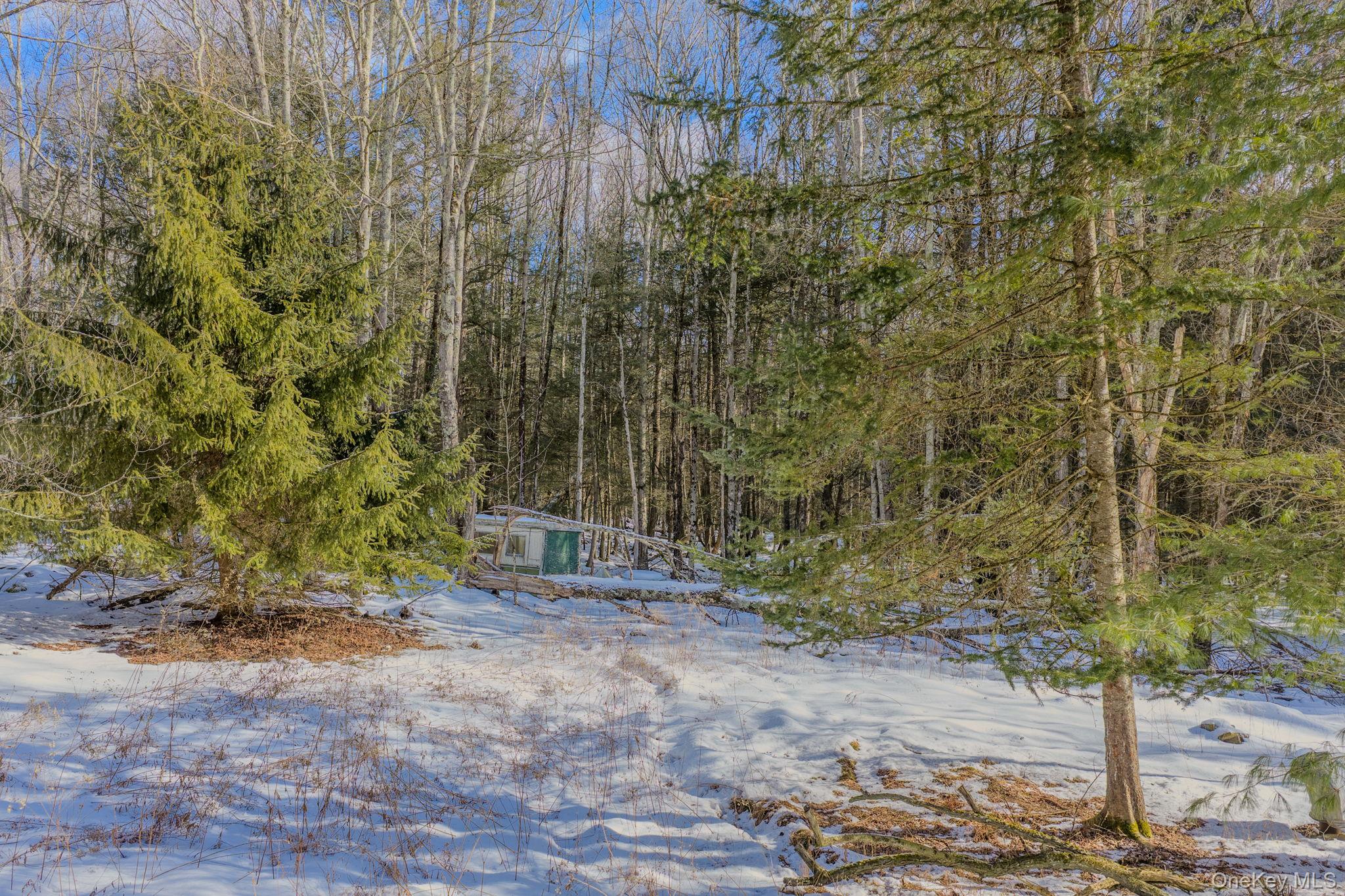 Soule Road, Bethel, NY 12720