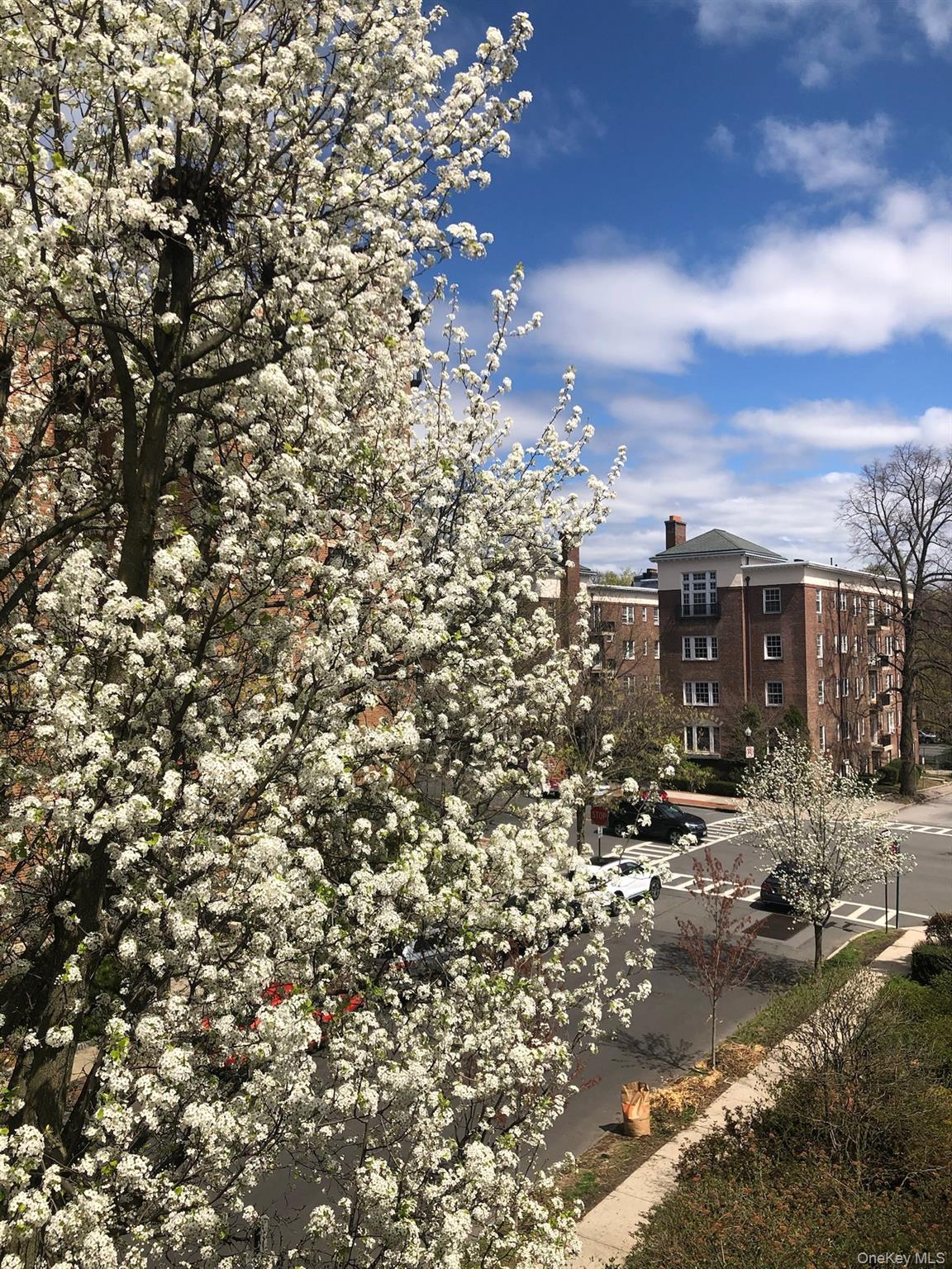 15 Meadow Avenue # 6, Bronxville, NY 10708