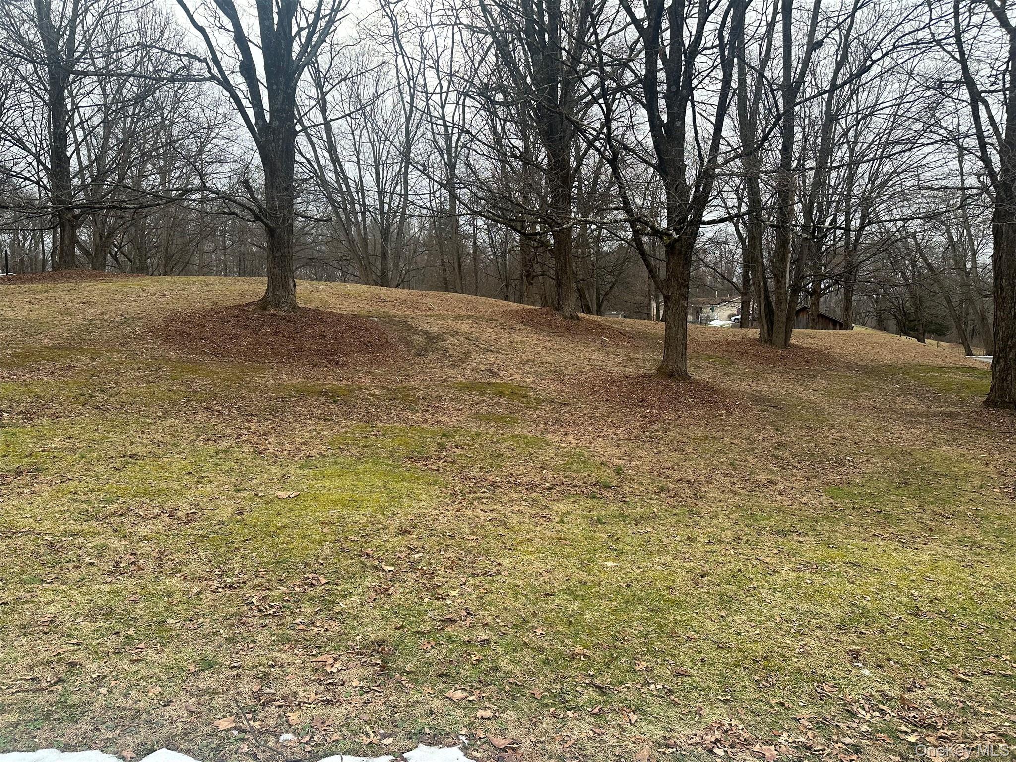 Old Route 199, Red Hook, NY 12571