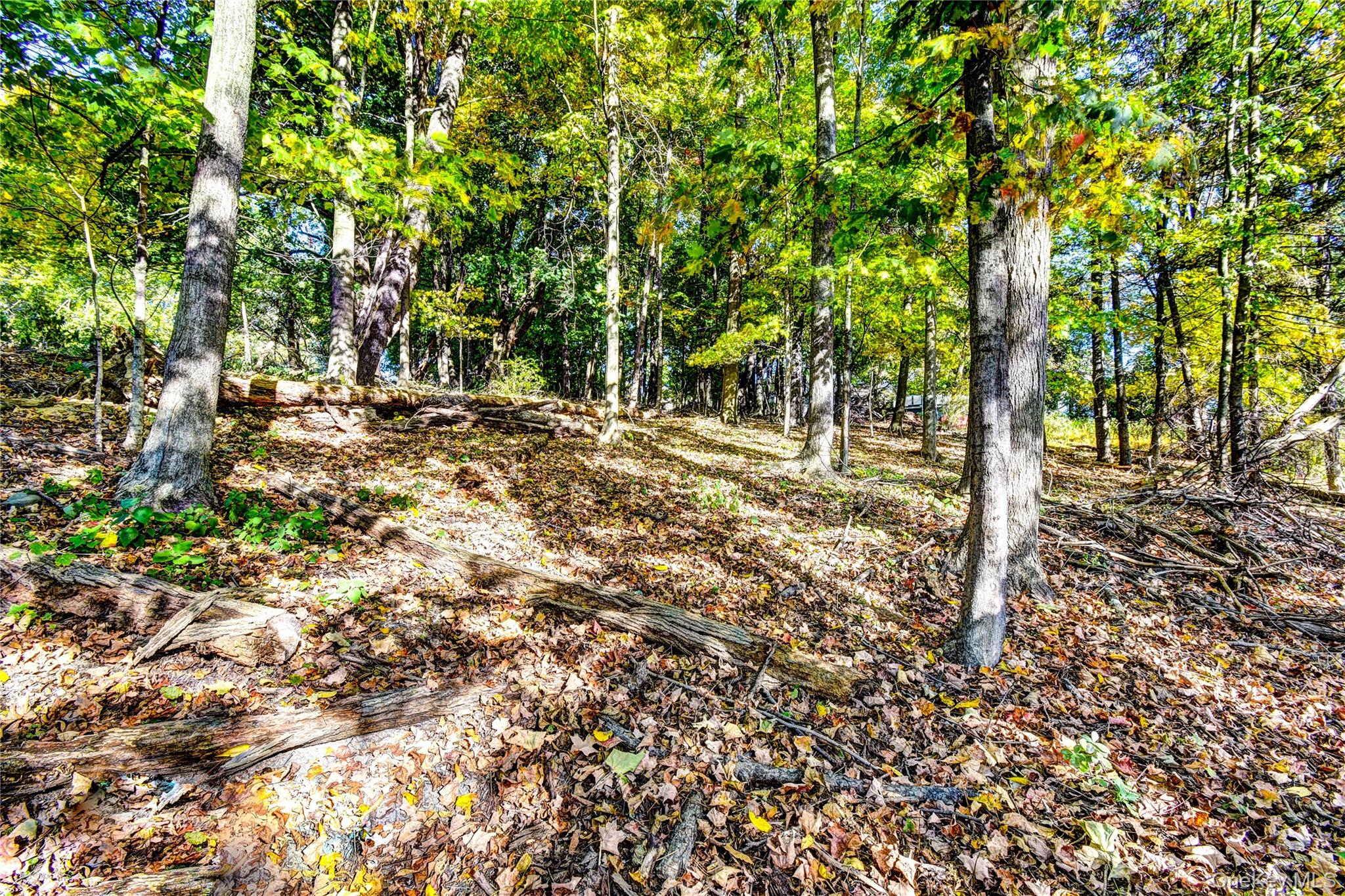 Lot 1 Nathaniel Lane, Florida, NY 10921